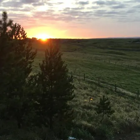 Hare At Hill * Greenhow Hill