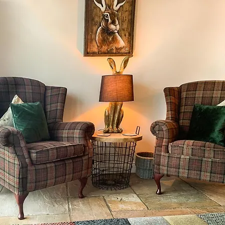 Hare At Hill * Greenhow Hill