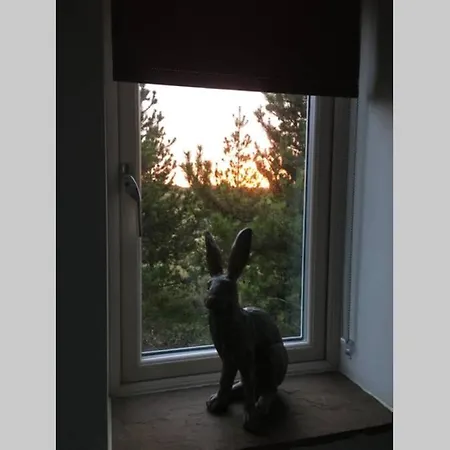 Hare At Hill Casa vacanze *