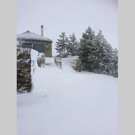 Hare At Hill Greenhow Hill