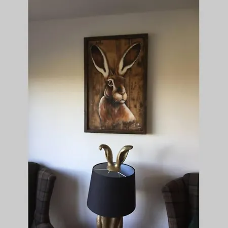 Hare At Hill Greenhow Hill