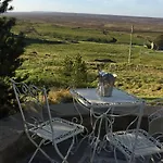 Hare At Hill *
