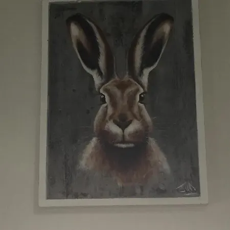 Hare At Hill