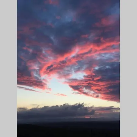 Hare At Hill Greenhow Hill