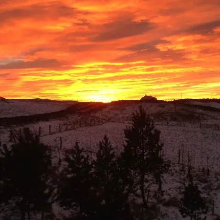 Hare At Hill Greenhow Hill