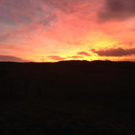 Hare At Hill Greenhow Hill