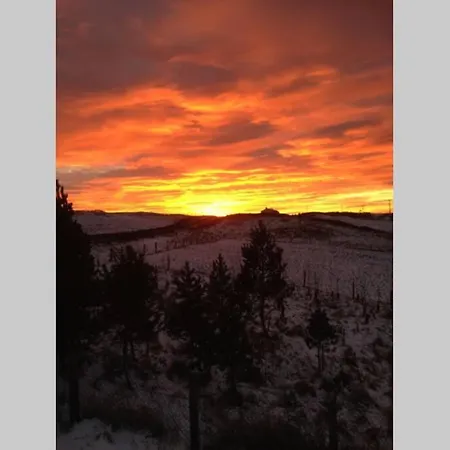 Hare At Hill * Greenhow Hill
