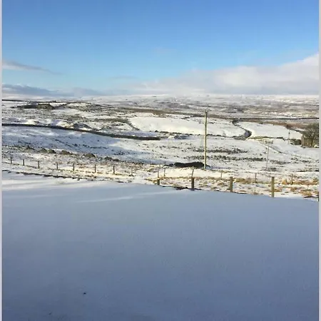 Hare At Hill 度假居 *